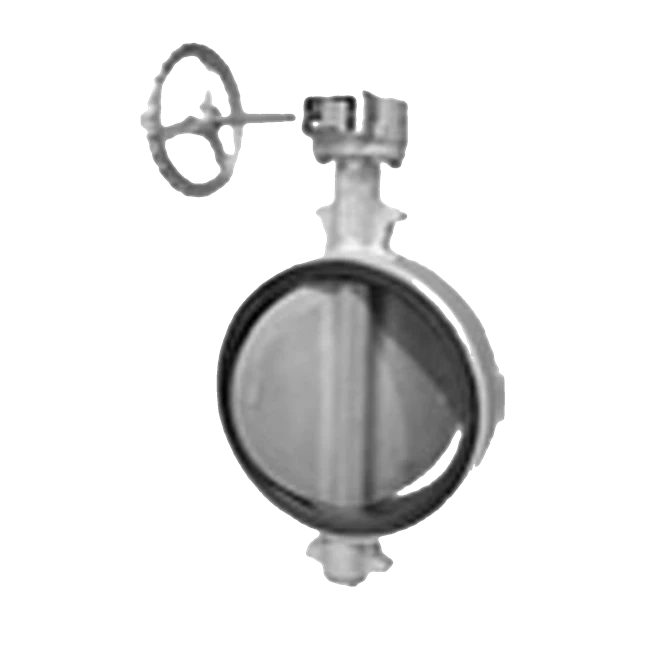 Resilient Seated Valves